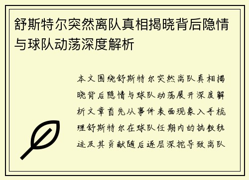 舒斯特尔突然离队真相揭晓背后隐情与球队动荡深度解析