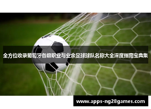 全方位收录葡萄牙各级职业与业余足球球队名称大全深度指南宝典集 全方位收录葡萄牙各级职业与业余足球球队名称大全深度指南宝典集